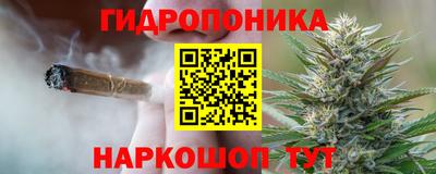индика Кунгур