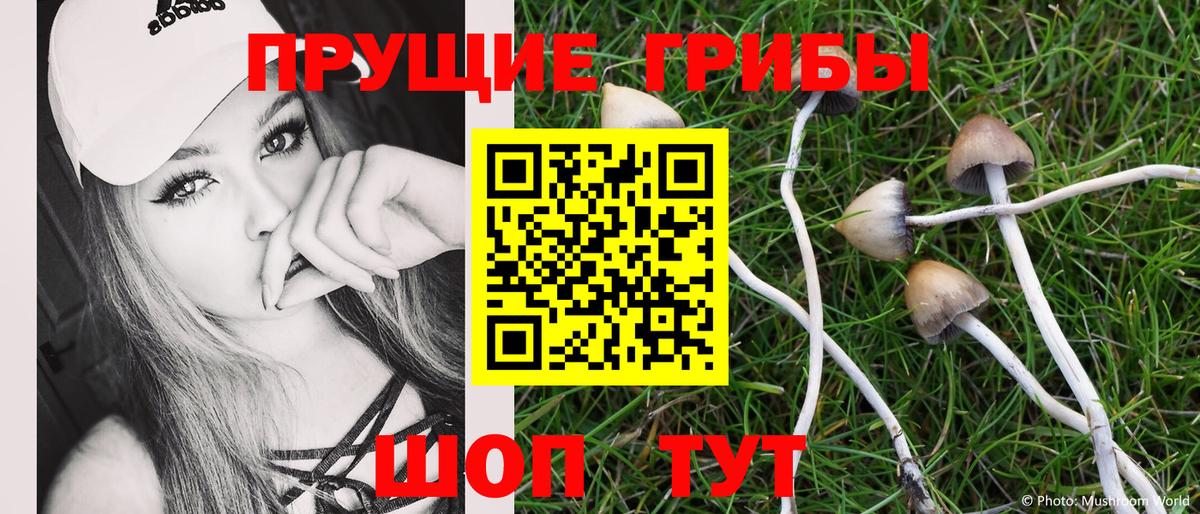где найти наркотики  Галлюциногенные грибы Cubensis  Вход с VPN  Химки 