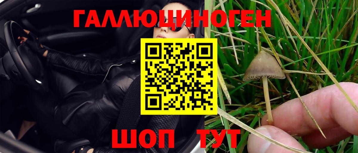 ГАШ  Каннабис  Химки  ЭКСТАЗИ  Вход с VPN  Меф кристаллы 