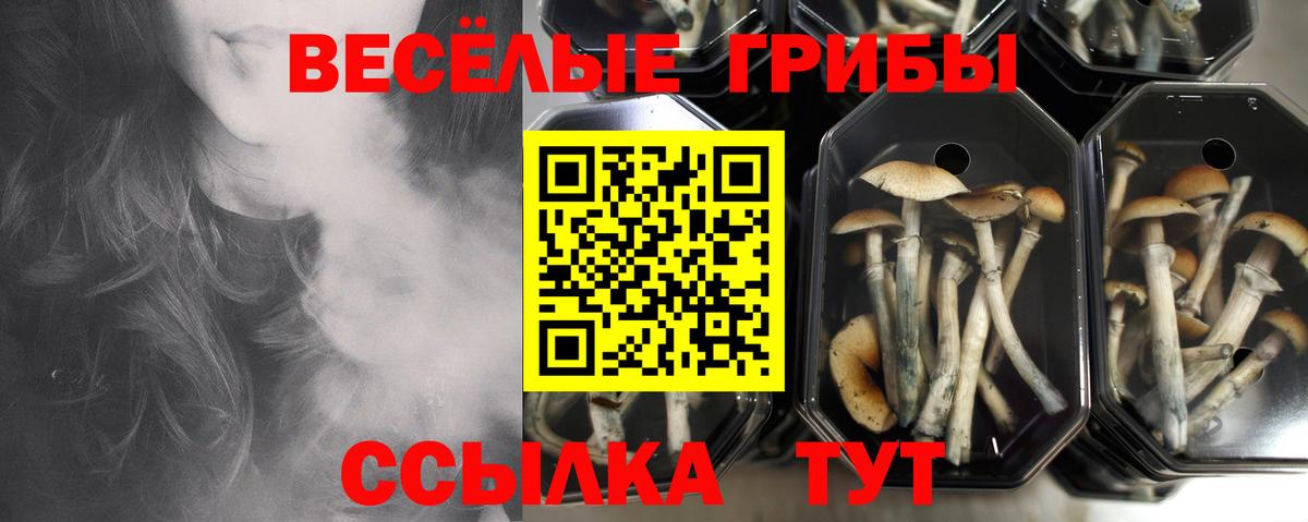 Галлюциногенные грибы мицелий Химки